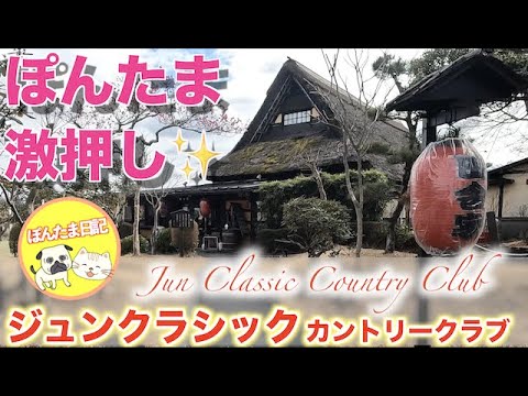 ぽん太とたま子のジュンクラシックCC「OUTコース/椿ルート」＃１
