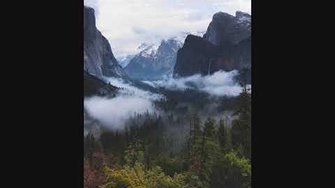 القارئ ماجد الزامل سورة الغاشية Majd Al Zamel Surah Al-Ghashiya