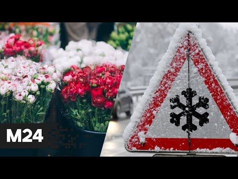 Морозы до минус 34 в Подмосковье, дефицит цветов к 8 марта, выходные на родине Александра Невского