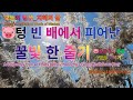 텅 빈 배에서 피어난 꿀빛 한 줄기 🐷 꿀꿀이의 재미있는 가족 명상 이야기 | HoneyPig Mindfulness Story