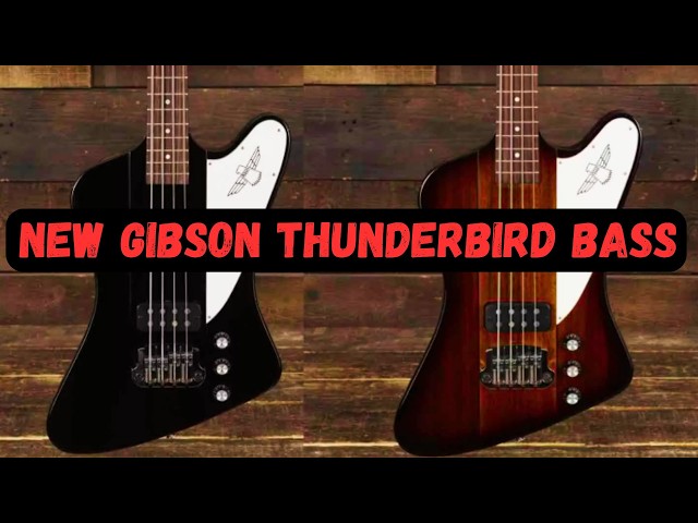 New Gibson Thunderbird Bass - YouTube