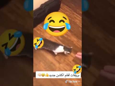 طيب متى اموت