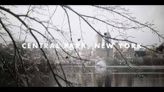 Central Park - Cinematic a7sIII Super Multi Coated Takumar 50mm f1.4 Lens Test