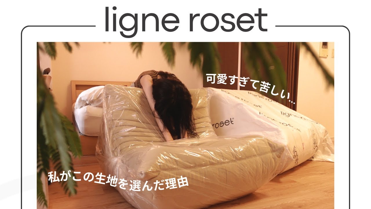 ［ В тот день прибыл мой долгожданный диван Leanne Roset Togo.