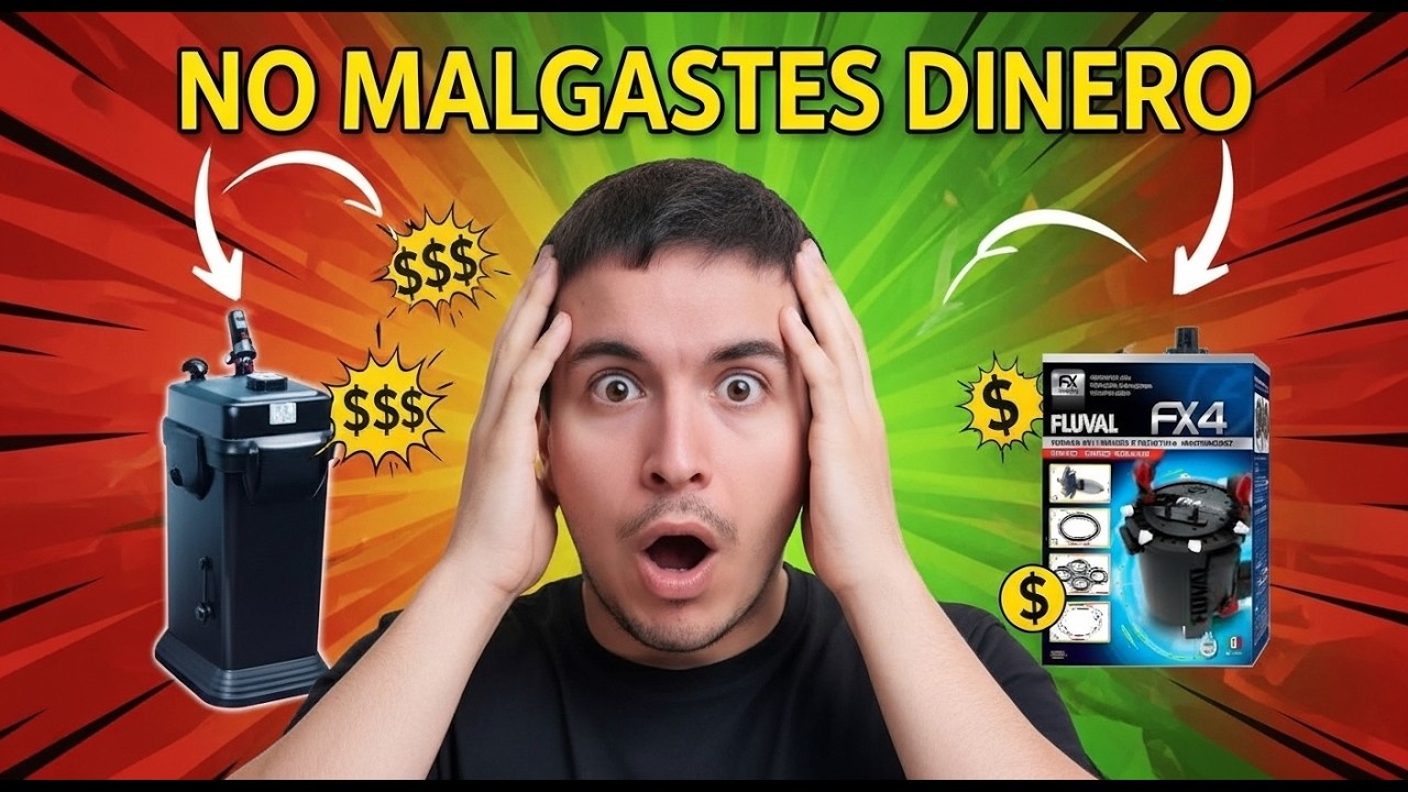 “Antes de comprar un canister mira esto (te puede ahorrar cientos)”