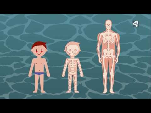 ¿Fortalece los huesos la natación?