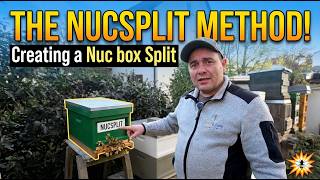 Beekeeping vlog - Ep. 01: The Nuc Split Method! Creating a Nuc Box Split with Calum