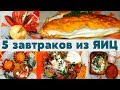 5 ПРОСТЫХ РЕЦЕПТОВ для ЗАВТРАКА из ЯИЦ 🍳 МАРИНА ЖУКОВА