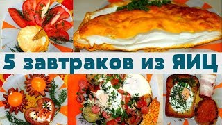 5 ПРОСТЫХ РЕЦЕПТОВ для ЗАВТРАКА из ЯИЦ 🍳 МАРИНА ЖУКОВА 5 ПРОСТЫХ РЕЦЕПТОВ для ЗАВТРАКА из ЯИЦ 🍳 МАРИНА ЖУКОВА