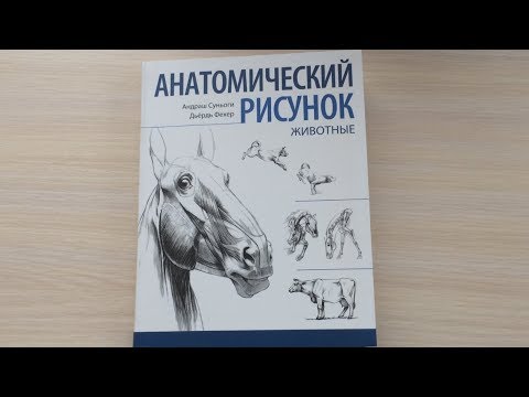 Книга Анатомический Рисунок. Животные | Быстрый обзор