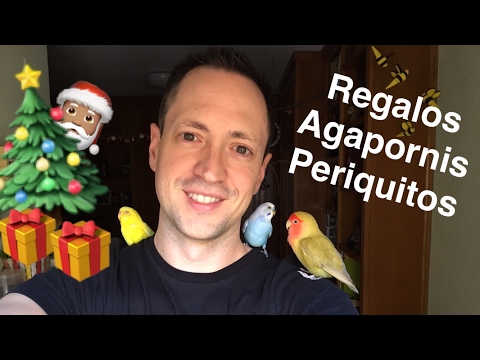 Video: ¿Qué es un buen regalo para los periquitos?