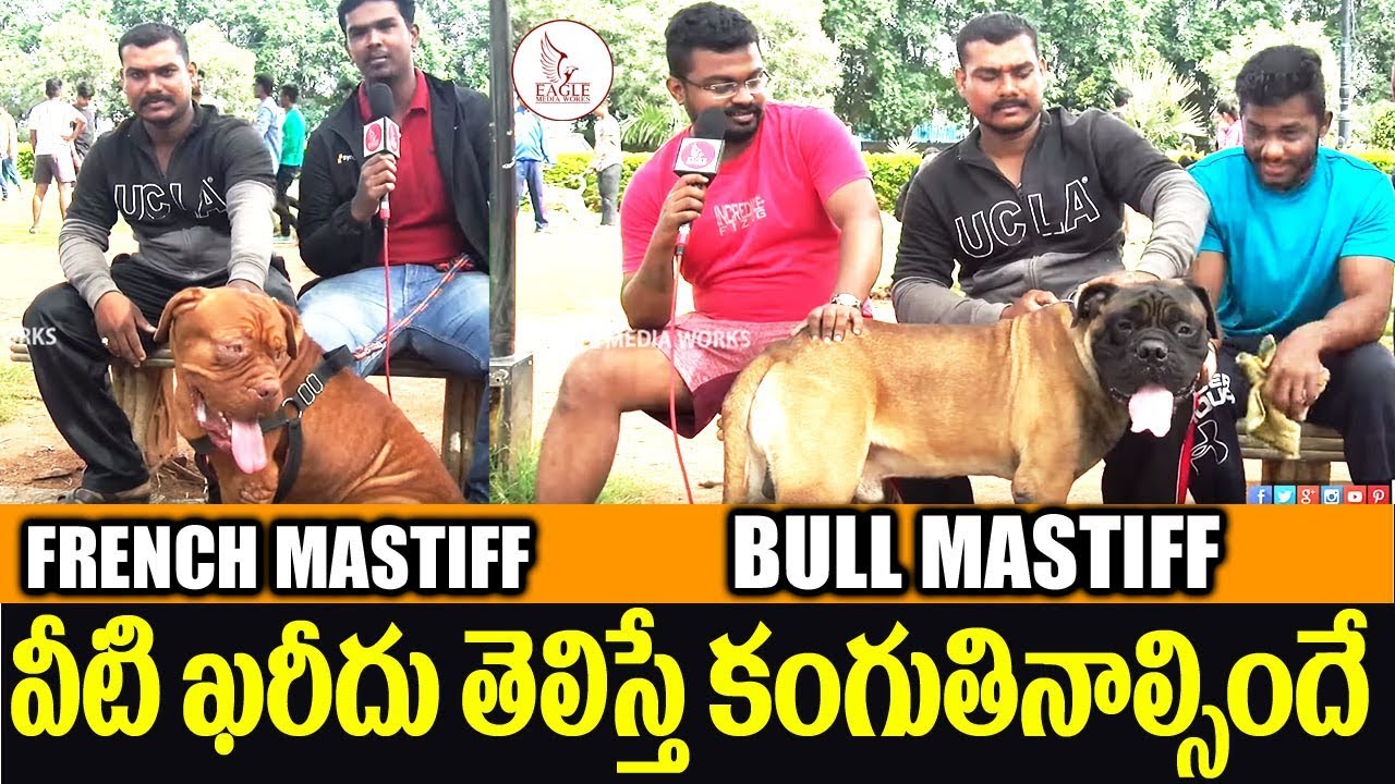Dogs Park At Hyderabad Necklace Road Part 2 By Telugu Delite