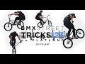 BMX STREET TRICKS 123+ on FLATALND CYCLENT / How to Freestyle for Beginners ストリート 基本技〜応用技 初心者必見