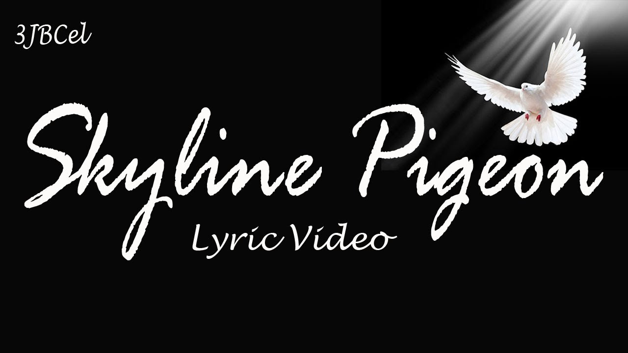 skyline pigeon YouTube