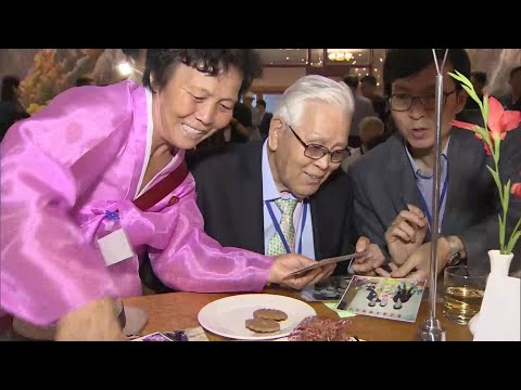 '아니면 어쩌나' 초초함 속 꺼낸 사진…"동생 맞네" 와락 / 연합뉴스TV (YonhapnewsTV)