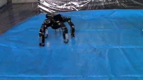 Moving test of BT-L45, new multi-legged robot