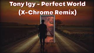 Tony Igy - Perfect World (X-Chrome Remix) (2015)