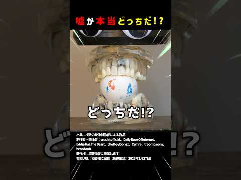 嘘か本当どっちだ！？part8 #shorts #クイズ