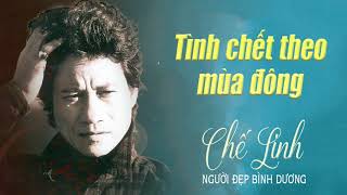 Chế Linh - Tình Chết Theo Mùa Đông