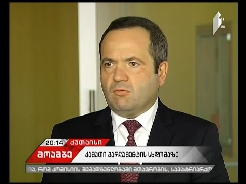 რას გულისხმობს ე.წ ლარიზაციის გეგმა და რა შენიშვნები აქვთ დეპუტატებს