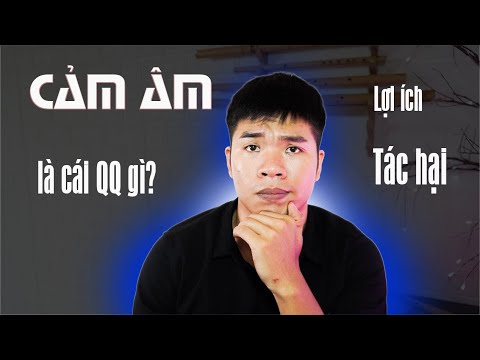 Video Lợi ích và tác hại của cảm âm - VLOG 1 Sáo trúc - ST... - youtube