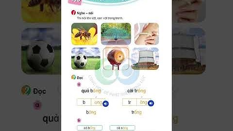 Bài 13D: ong, ông - Tiếng Việt 1 - “Bộ sách Cùng học để phát triển năng lực” 