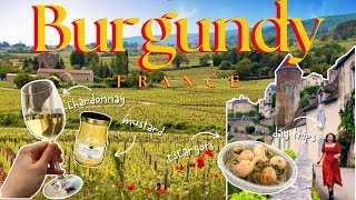 Best Things to Do in Burgundy - France Travel Vlog