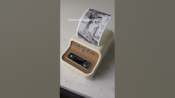 Niimbot B21 Pro Photo Label Printer