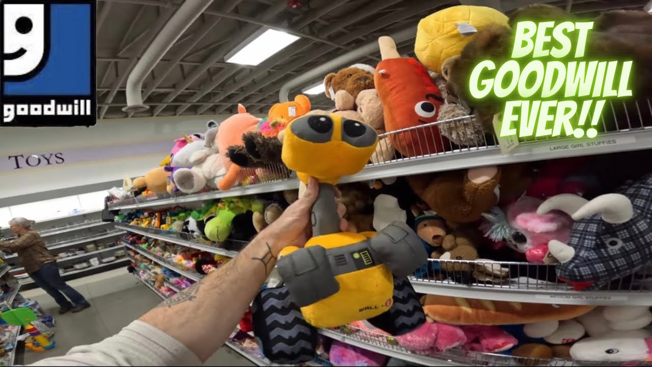 Thrift With Me At The Best Goodwill In America! Insane Finds! - YouTube