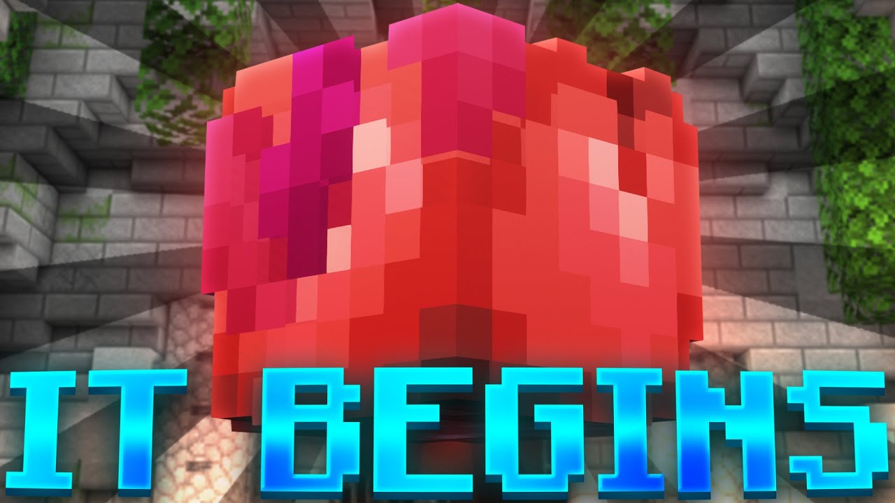 The Journey to The Rarest Slayer drop in Hypixel Skyblock