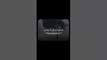 قرآن كريم بصوت جميل 🤍 🍃 أكتب شيء تؤجر عليه 🌱