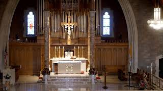 8:00 AM Celebration of the Holy Mass June 20, 2026