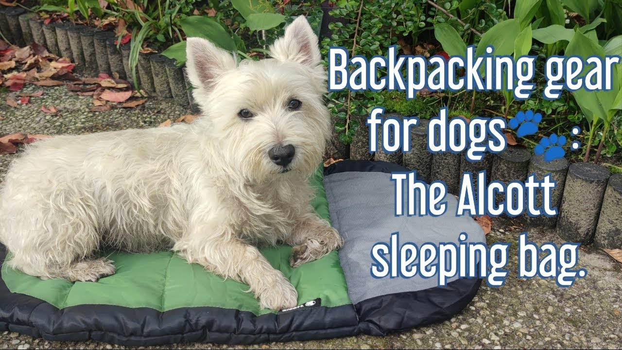 Backpacking gear for dogs🐾 The Alcott sleeping bag. YouTube