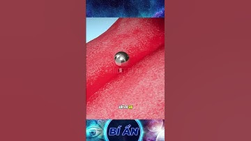 Sự thật ít ai biết về việc xỏ lưỡi  #bian #bíẩn #khampha #bíẩnthiênnhiên  #tintuc