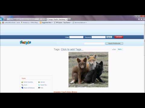 How to use Tinypic