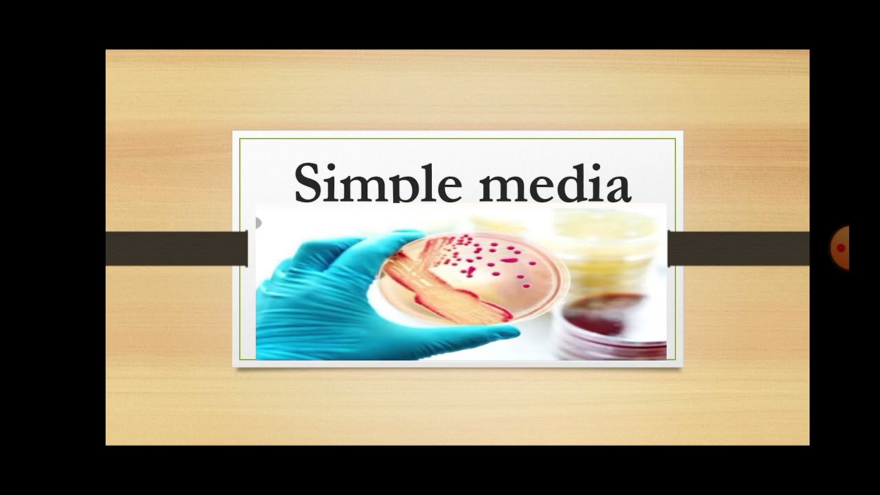 Basal mediasimple mediaexplained in Hindi 👍👍 YouTube