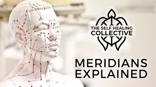 Meridians Explained Net Worth