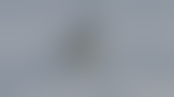 Shitpost Status Compilation V10