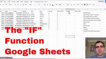 Using the IF Function on Text in Google Sheets