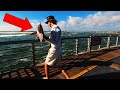 Name That Fish - Jetty Fishing