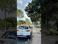 Monkeys Exchanging Bananas for Mooncake? Unexpected Story![NVN Kindness Channel] #action #kindness