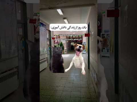   مدرسه معلم   خنده طنز   دانش آموز دانشجو