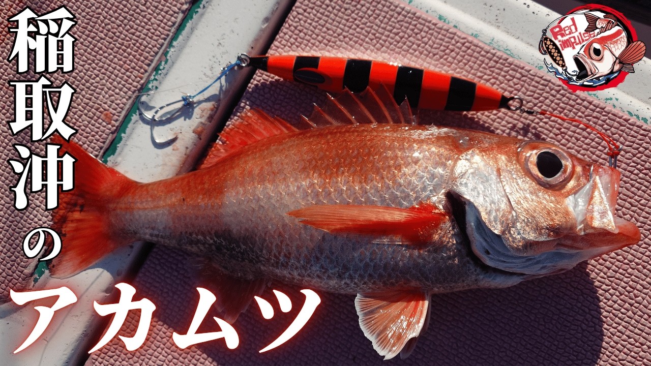 A Successful Revenge Fishing Trip at a New Frontier [Shizuoka