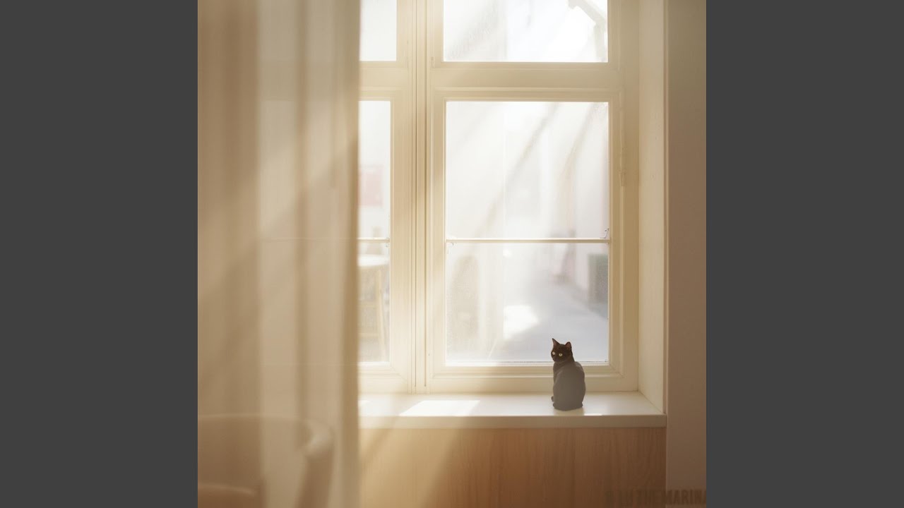 A Cat Watching the Street