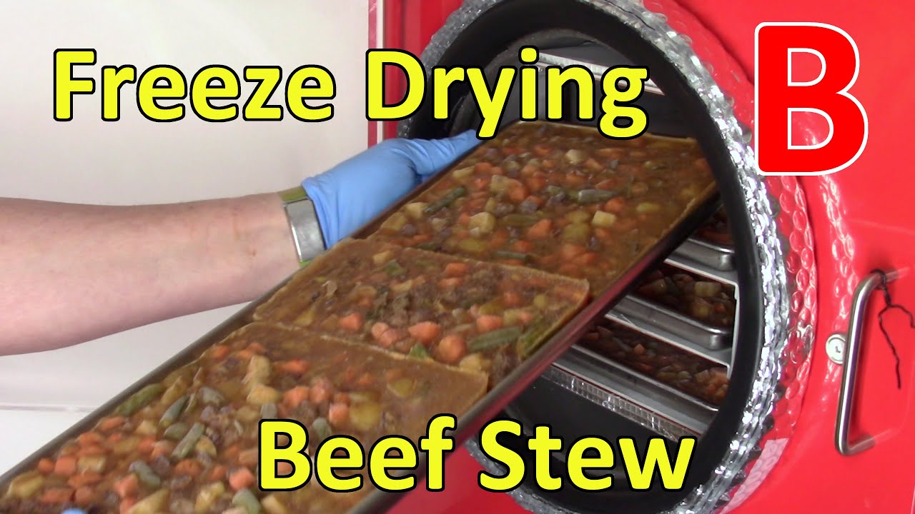 How To Make A Homemade Freeze Dryer - Harvest Right 4 Tray Medium