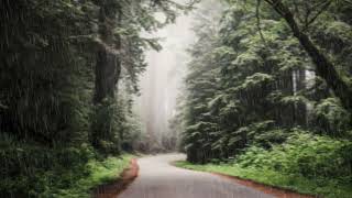 RELAXING MUSIC - Beautiful Relaxing Music with Soft Piano Music and Beautiful Birds Chirping Sounds screenshot 4