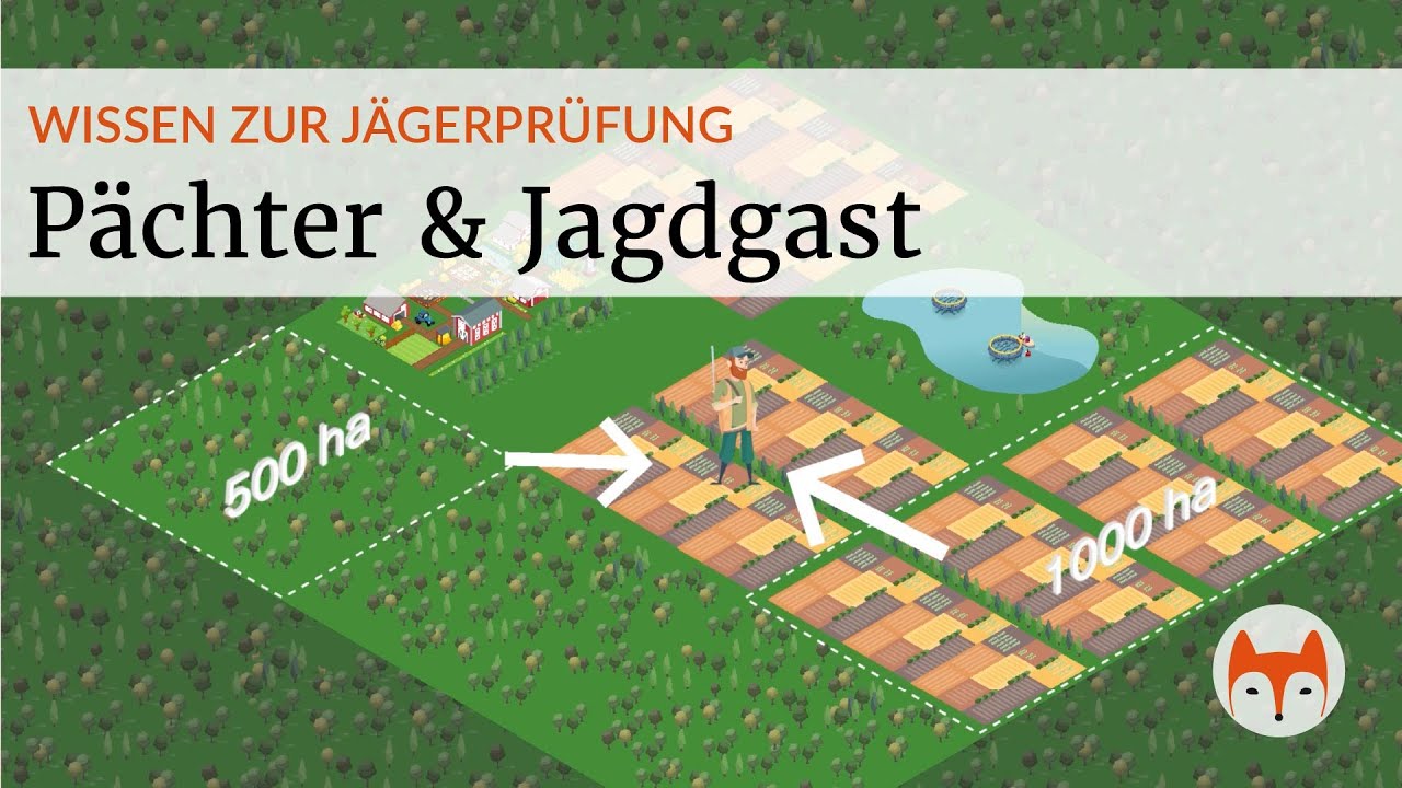 🏹 Jagdrecht: Pacht & Jagderlaubnis einfach erklärt - Vorschau