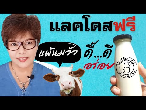 นมแลคโตสฟรี 😀 ดื่มชัวร์ ประโยชน์เพียบ | สังเวียนสูงวัย