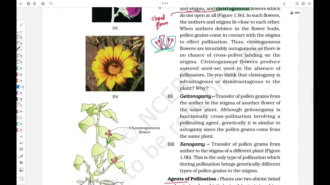 Pollination, agents of pollination , wind, water, biotic agents
