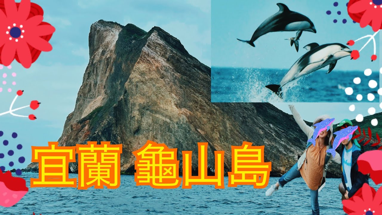 【宜蘭】一日遊行程「宜蘭賞鯨船行」烏石港搭船出發龜山島賞海豚！食尚玩家